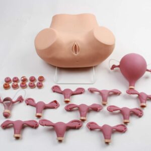 Entrenador avanzado en exámenes ginecológicos GYE001.04