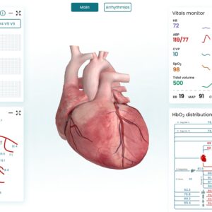 Plataforma interactiva para fisiología