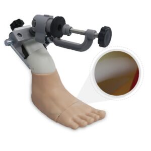 Modelo de entrenamiento para artroscopia de tobillo - MEE068