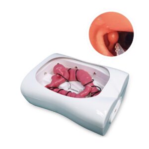 Modelo de entrenamiento para colonoscopia - MEE072