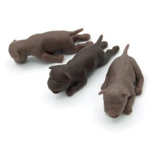 Trío de Cachorros