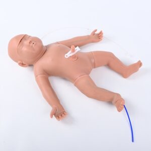 Lily Neonato PEE051