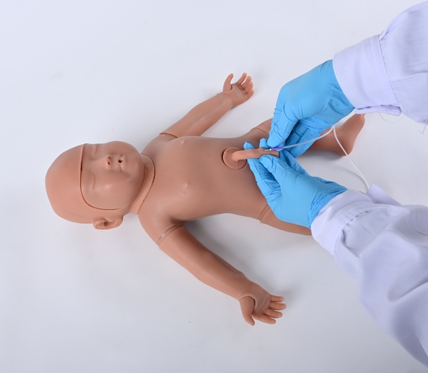 Lily Neonato PEE051 - Imagen 4