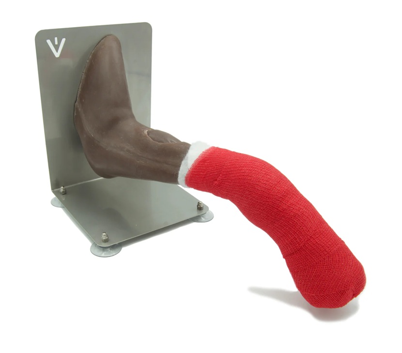 Pata de perro IV Mr. Vein (010-00) - Imagen 4