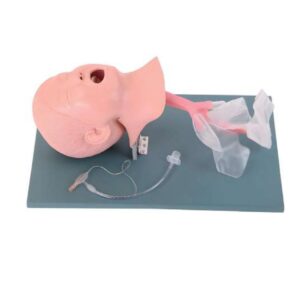 Cabeza Pediátrica de Intubación Endotraqueal --- PEE010