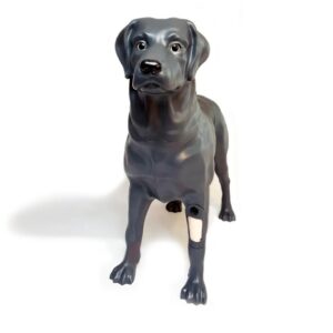 Androdog Andy