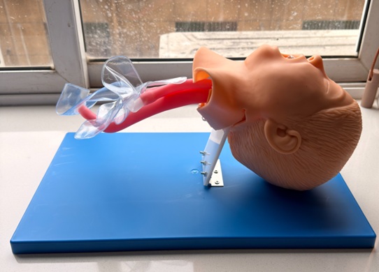 Cabeza Pediátrica de Intubación Endotraqueal --- PEE010 - Imagen 3