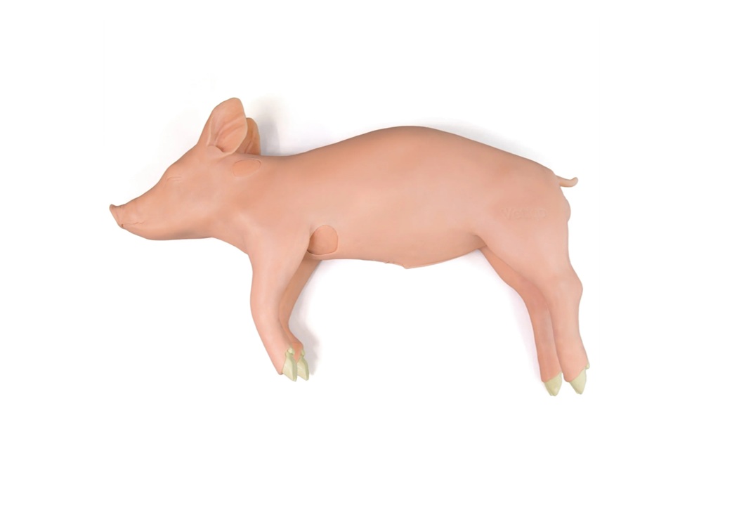 Weany - Modelo porcino de entrenamiento avanzado clínico