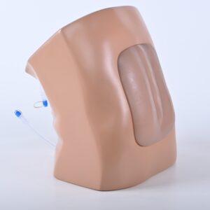 Modelo de entrenamiento en ecografía epidural (Lumbar) – BPE021