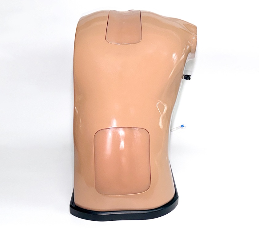 Modelo de entrenamiento en ecografía epidural (Lumbar y Torácico) – BPE021.01 - Imagen 4