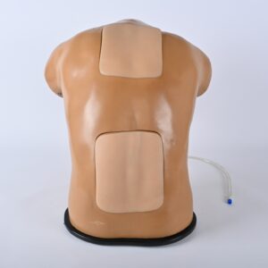 Modelo de entrenamiento en ecografía epidural (Lumbar y Cervical) – BPE021.02