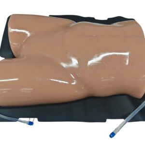 Modelo de entrenamiento de paracentesis BPE020