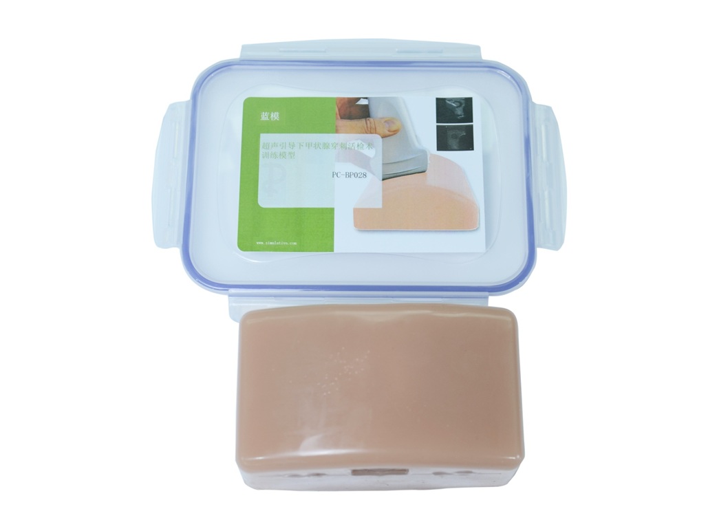 Modelo de entrenamiento de tiroides para ultrasonido BPE028 - Imagen 3
