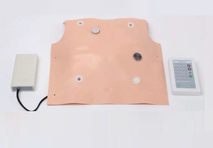 Kit de Entrenamiento ECG y Desfibrilación