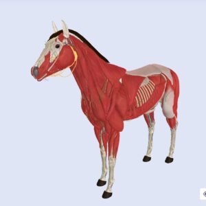 BIOATLAS VET