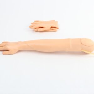 Brazo de entrenamiento para venopunción e inyección intramuscular NUE017.01