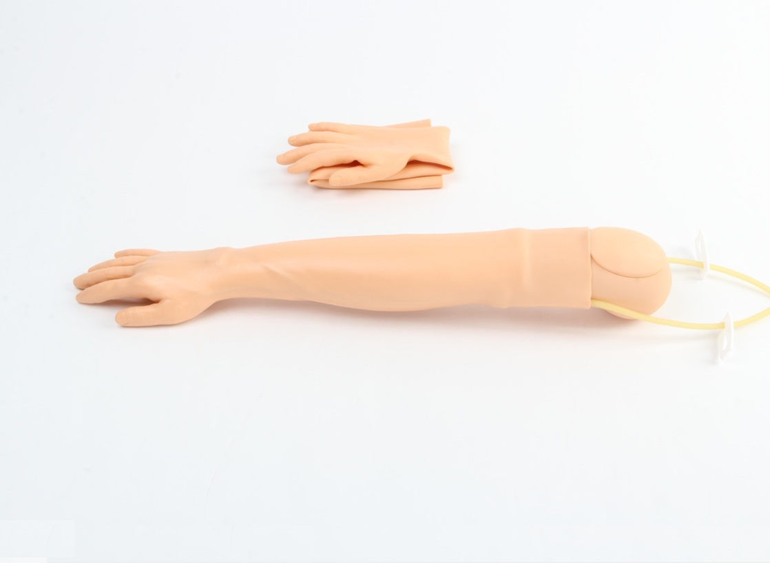 Brazo de entrenamiento para venopunción e inyección intramuscular NUE017.01