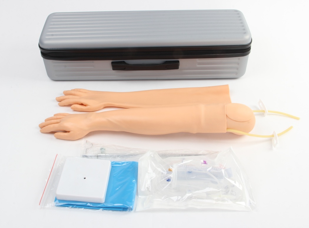 Brazo de entrenamiento para venopunción e inyección intramuscular NUE017.01 - Imagen 2
